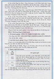 Vietnam Company License Page 02