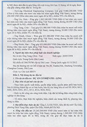 Vietnam Company License Page 03