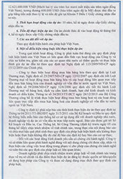 Vietnam Company License Page 04